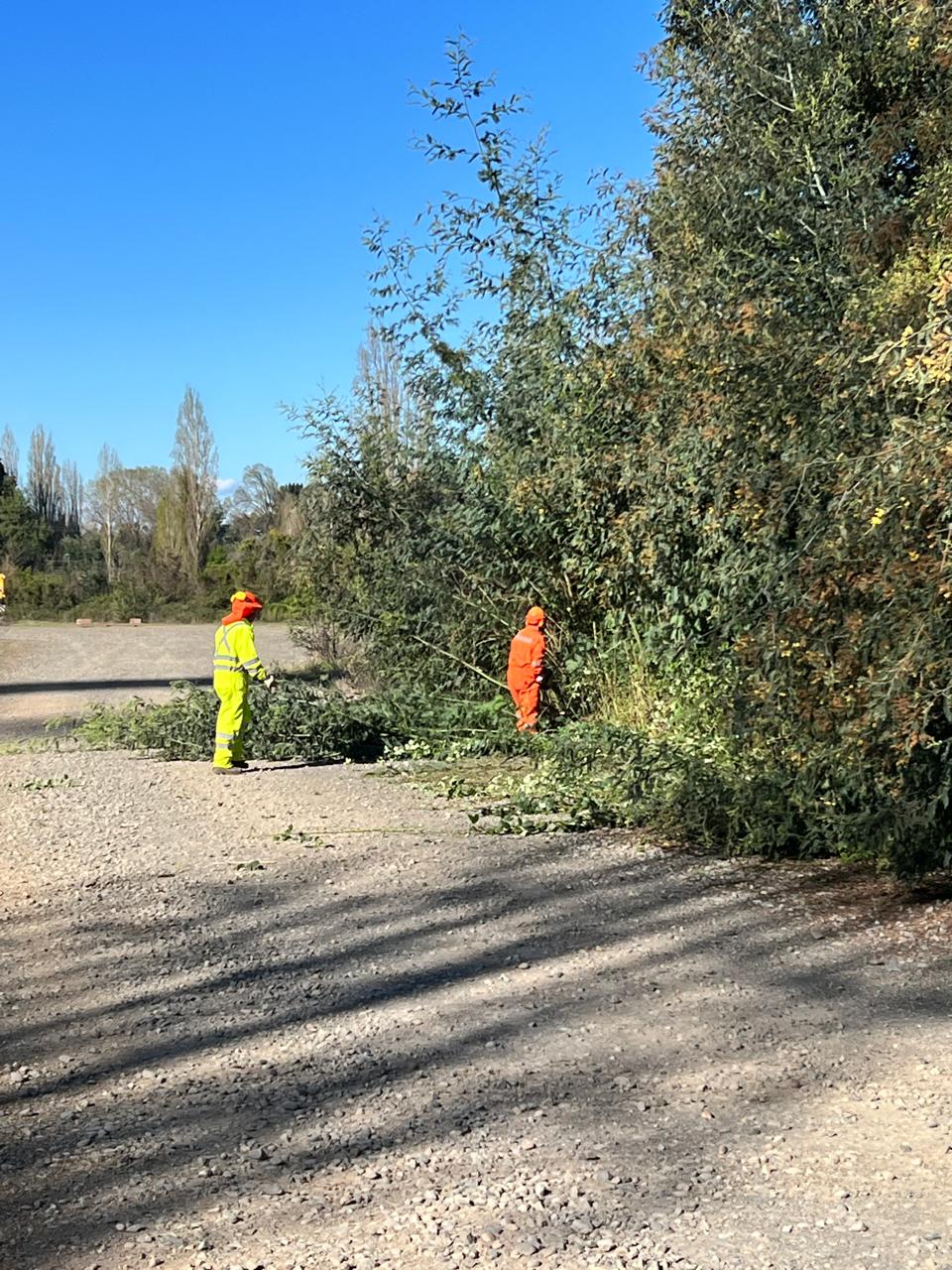 Trabajo forestal OPEM